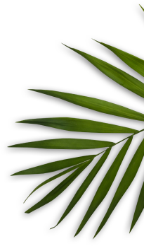 Floral De Beaute