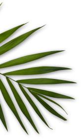 Floral De Beaute